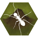 Cover Image of Finally Ants v2.52f1 MOD APK (Unlimited Material, Carbohydrate)